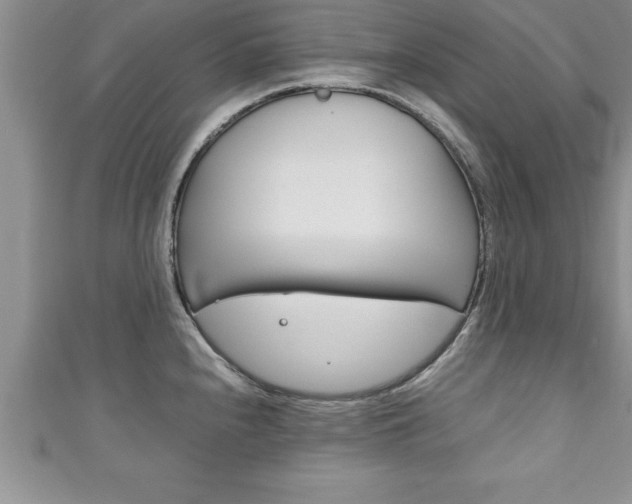 X0000111191240200907011002