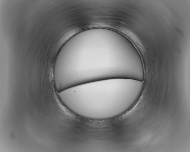 X0000111191241200907011002