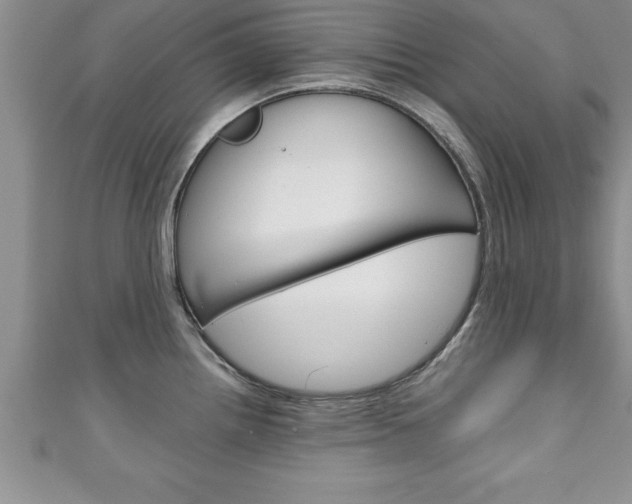 X0000111191242200907011002