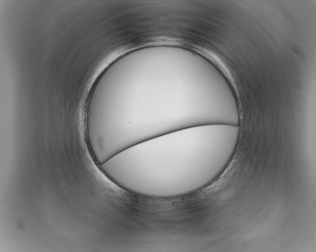 X0000111191243200907011002