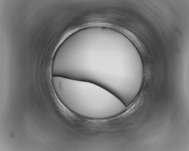 X0000111191244200907011002