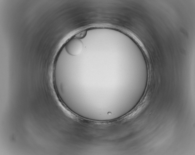 X0000111191245200907011002