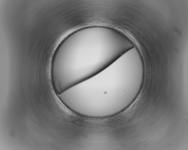 X0000111191246200907011002