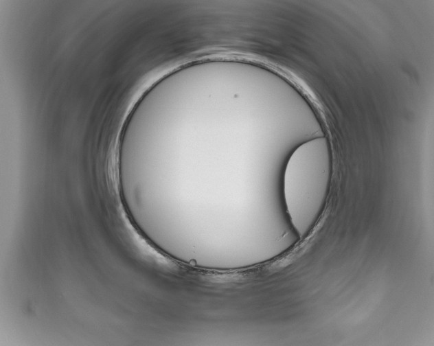 X0000111191247200907011002