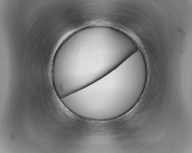 X0000111191248200907011002