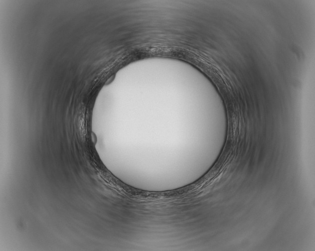 X0000111191250200907011002