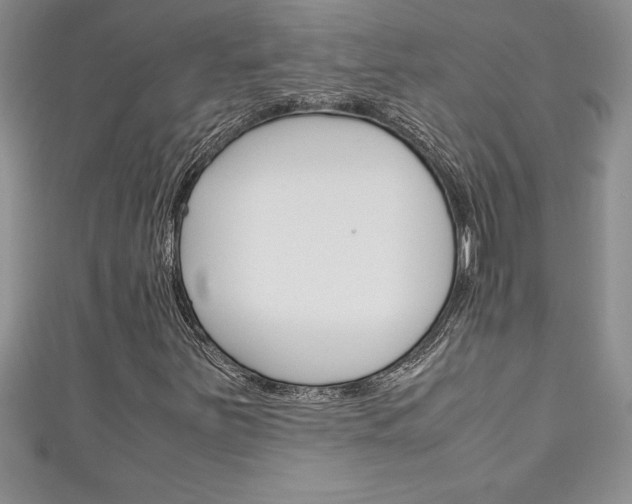 X0000111191251200907011002