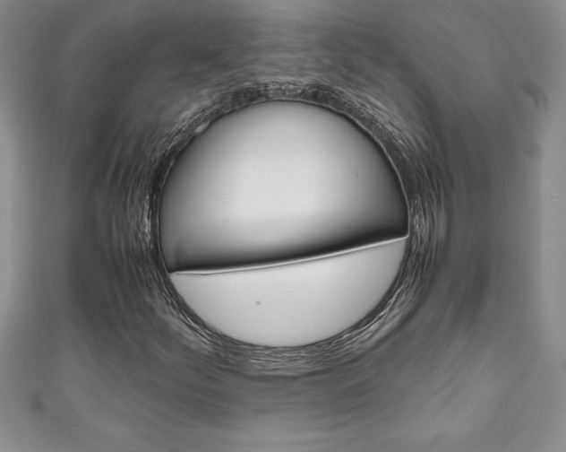 X0000111191252200907011002