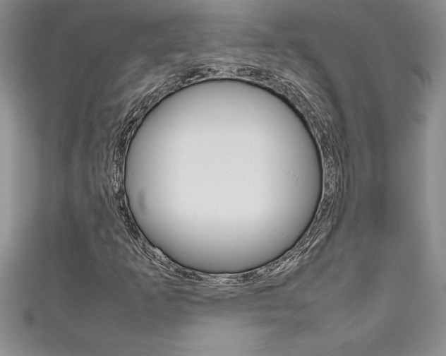 X0000111191253200907011002