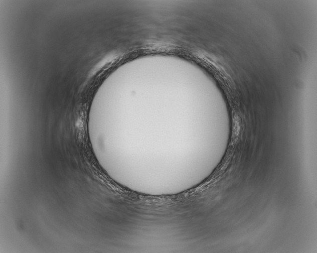X0000111191254200907011002