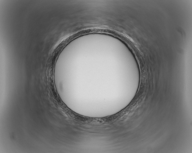 X0000111191255200907011002