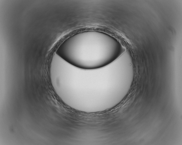 X0000111191256200907011002