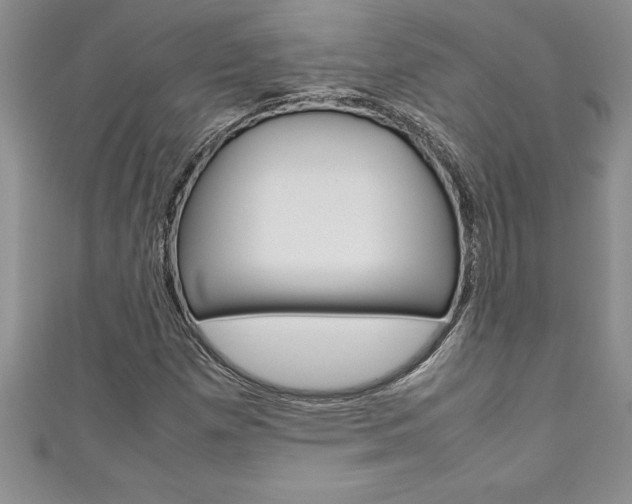 X0000111191257200907011002