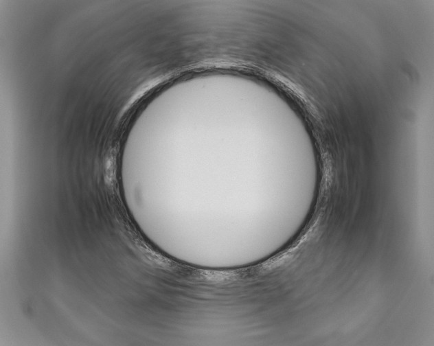 X0000111191258200907011002