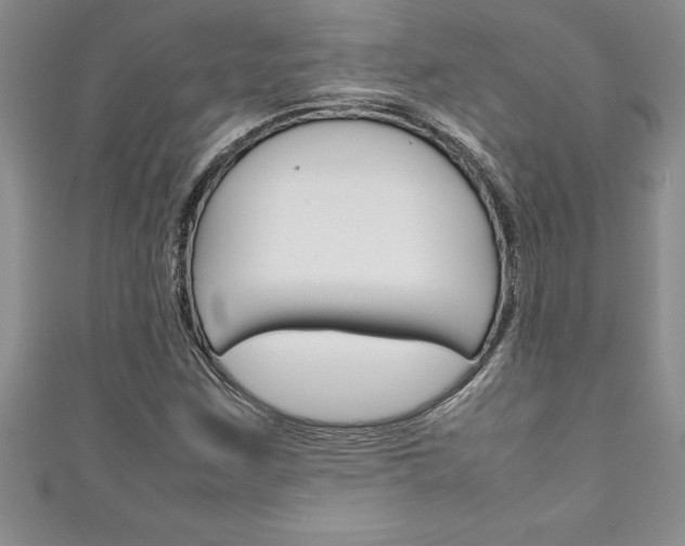 X0000111191259200907011002