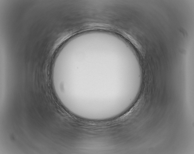 X0000111191261200907011002