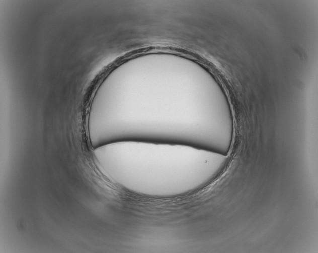 X0000111191263200907011002