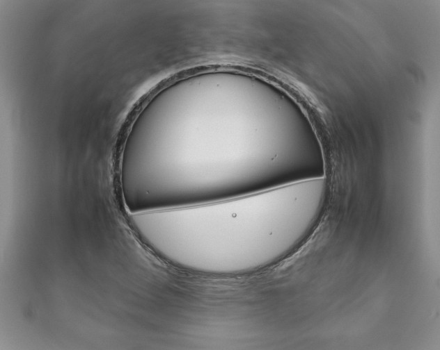 X0000111191264200907011002