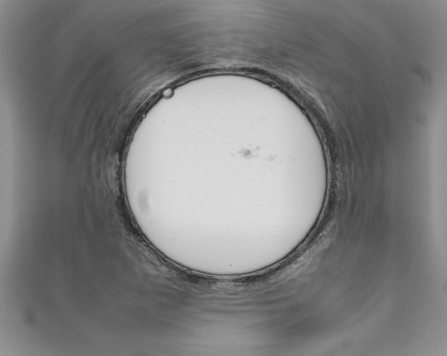 X0000111191265200907011001