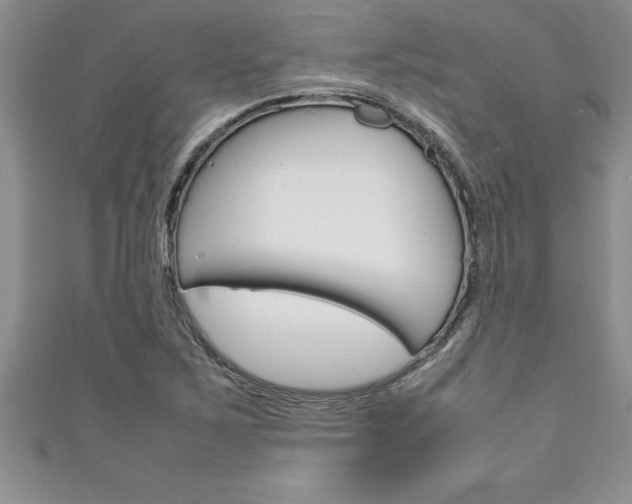 X0000111191267200907011001