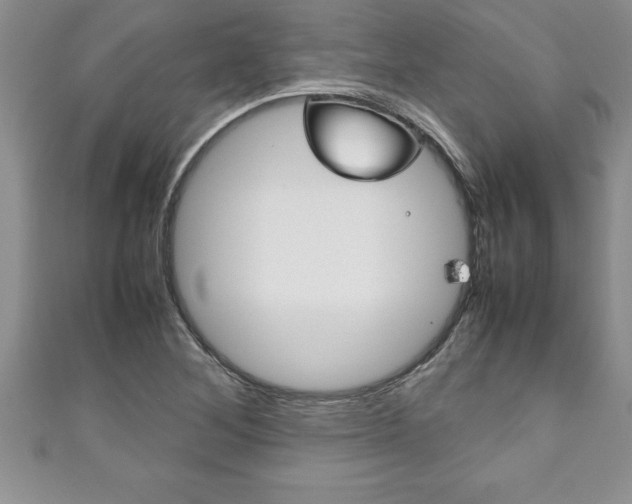 X0000111191268200907011001