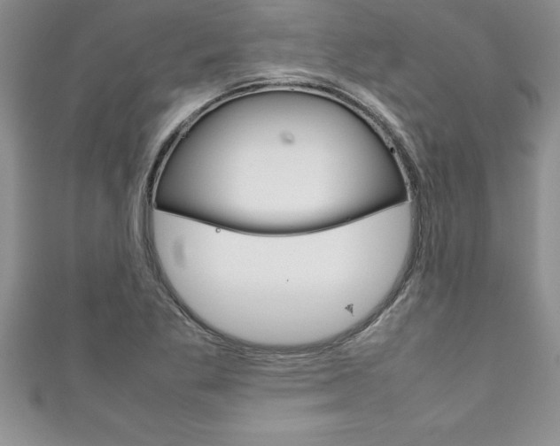 X0000111191269200907011001