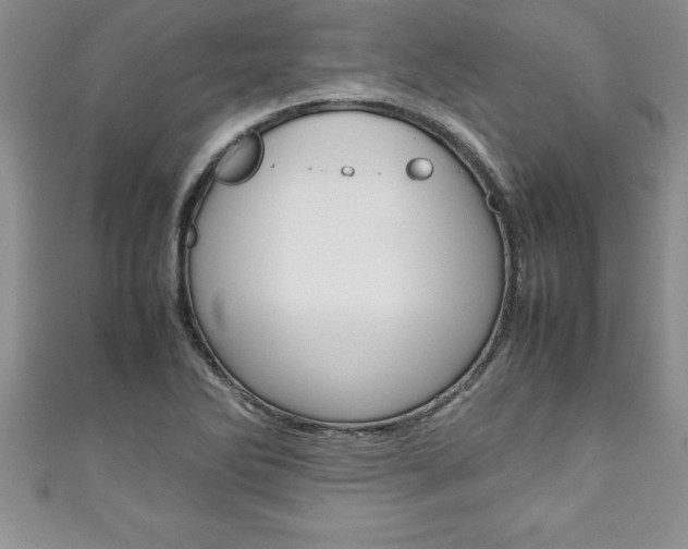 X0000111191270200907011001