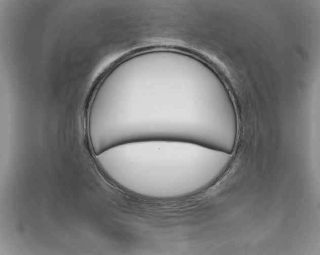 X0000111191271200907011001