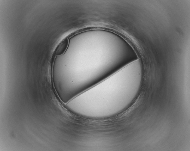 X0000111191272200907011001