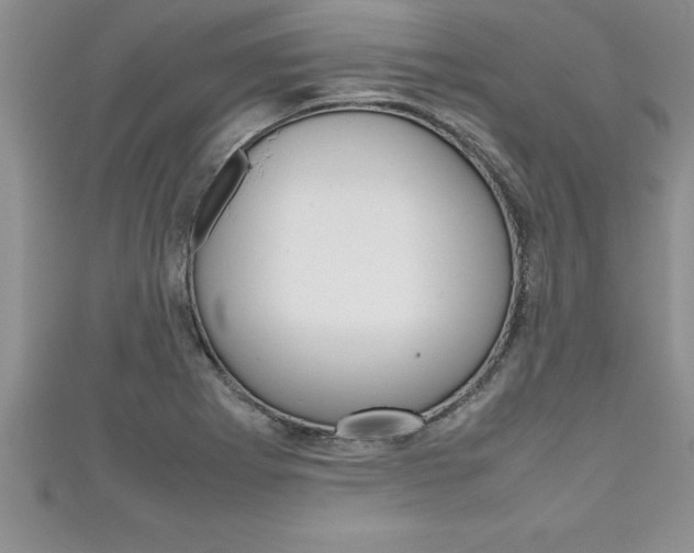 X0000111191273200907011001