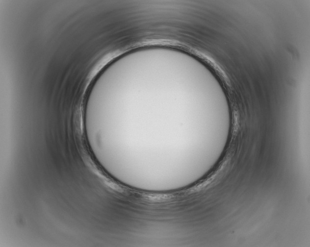 X0000111191274200907011001