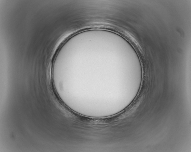 X0000111191275200907011001