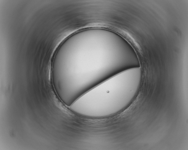 X0000111191276200907011001
