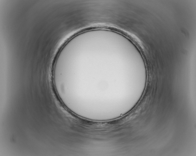 X0000111191279200907011001