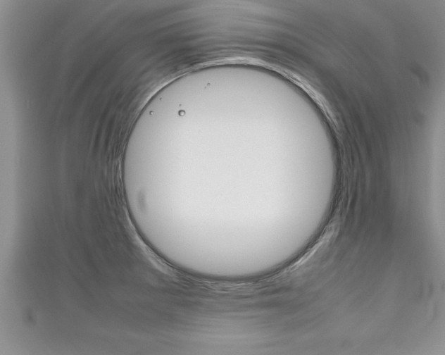 X0000111191281200907011001