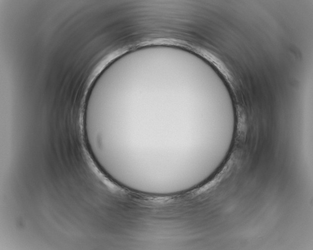 X0000111191282200907011001
