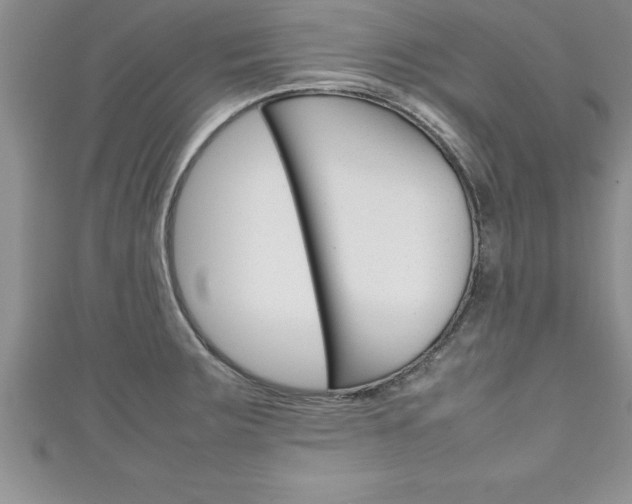 X0000111191283200907011001