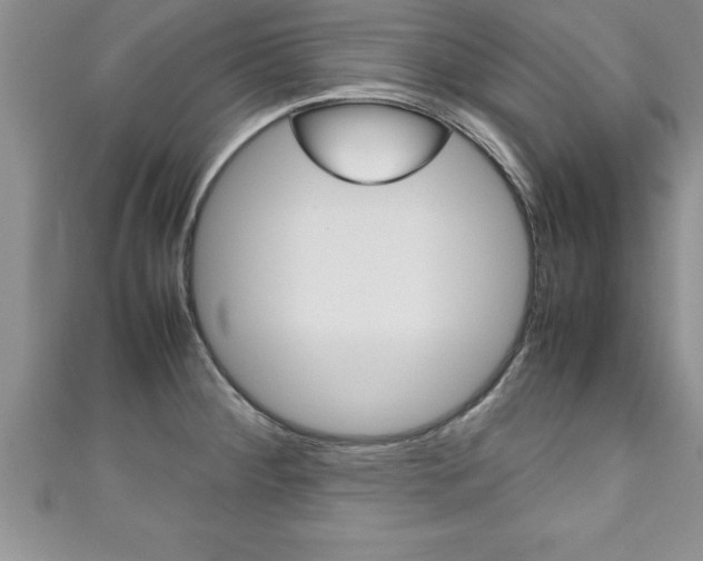 X0000111191284200907011001