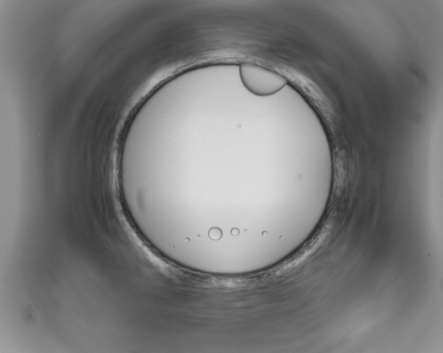 X0000111191286200907011001