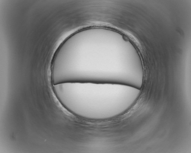X0000111191287200907011001