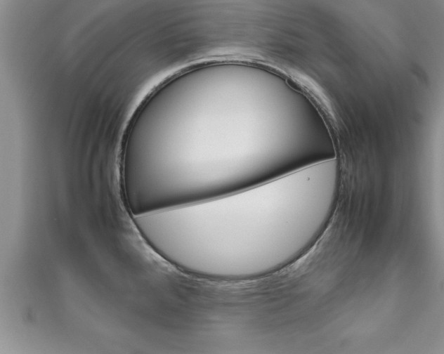 X0000111191288200907011001