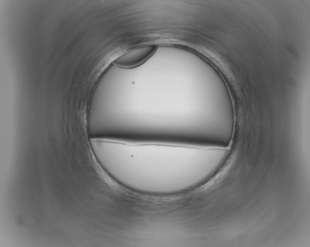 X0000111191289200907011001