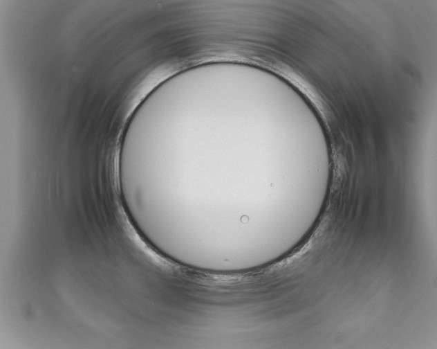 X0000111191290200907011001