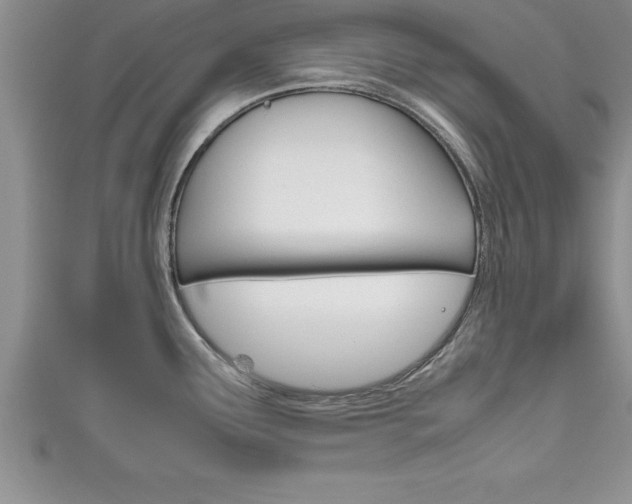 X0000111191291200907011001