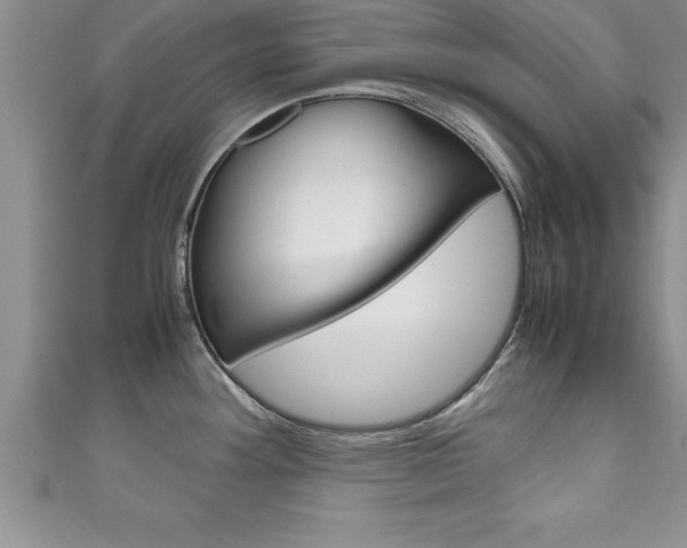 X0000111191292200907011001