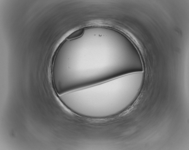 X0000111191293200907011001