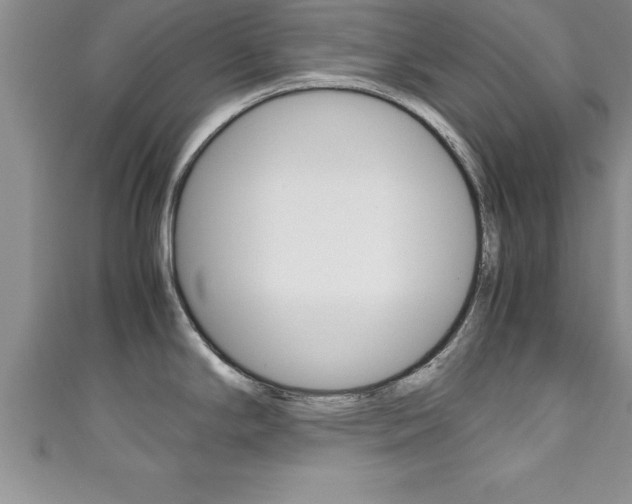 X0000111191294200907011001