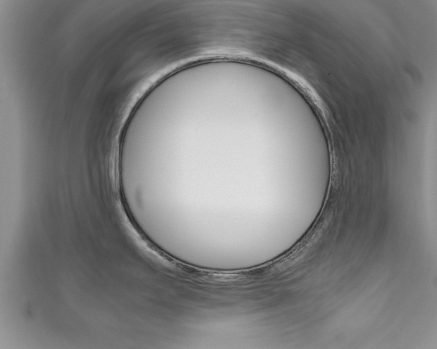 X0000111191295200907011001