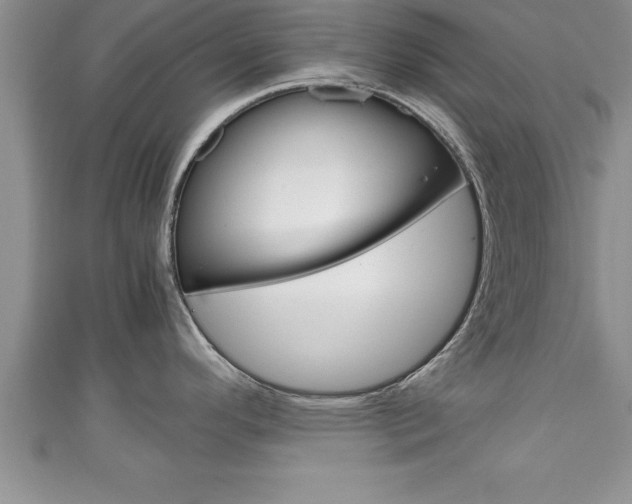 X0000111191296200907011001