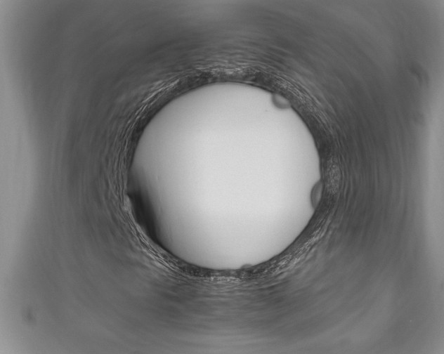 X0000111191297200907011000
